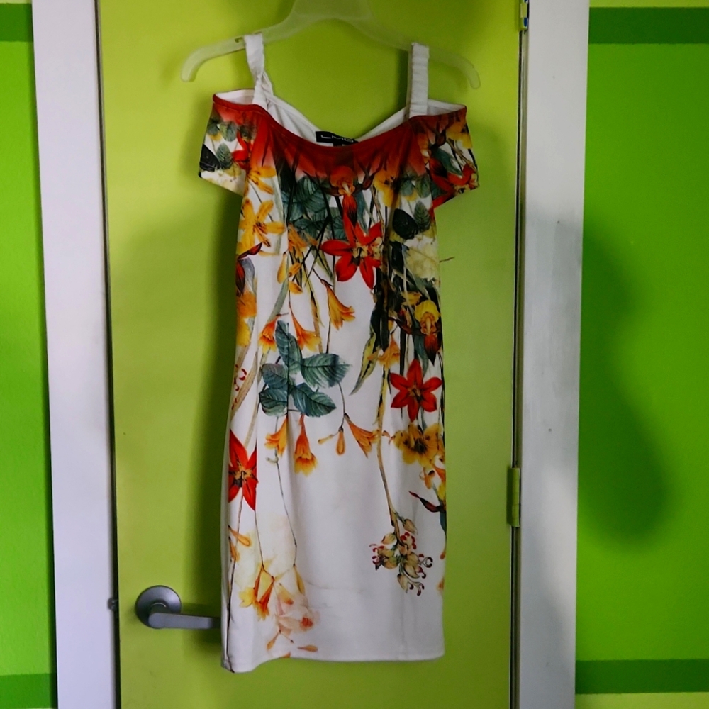 Ladies Sunmer dress